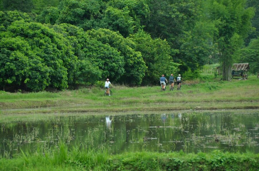 Chiang Mai Fields of Gold Cycling Tour - Key Things I’d Plan Around
