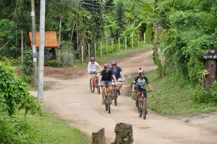 Chiang Mai Fields of Gold Cycling Tour - Lunch and Breaks: Keeping the Day Comfortable
