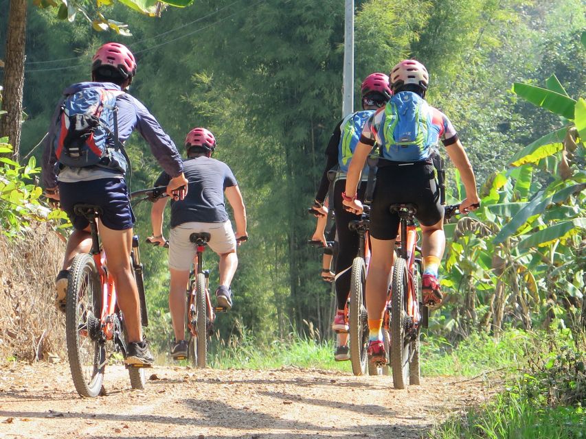 Chiang Mai Fields of Gold Cycling Tour - Guide Quality: The Human Factor Behind the Ride