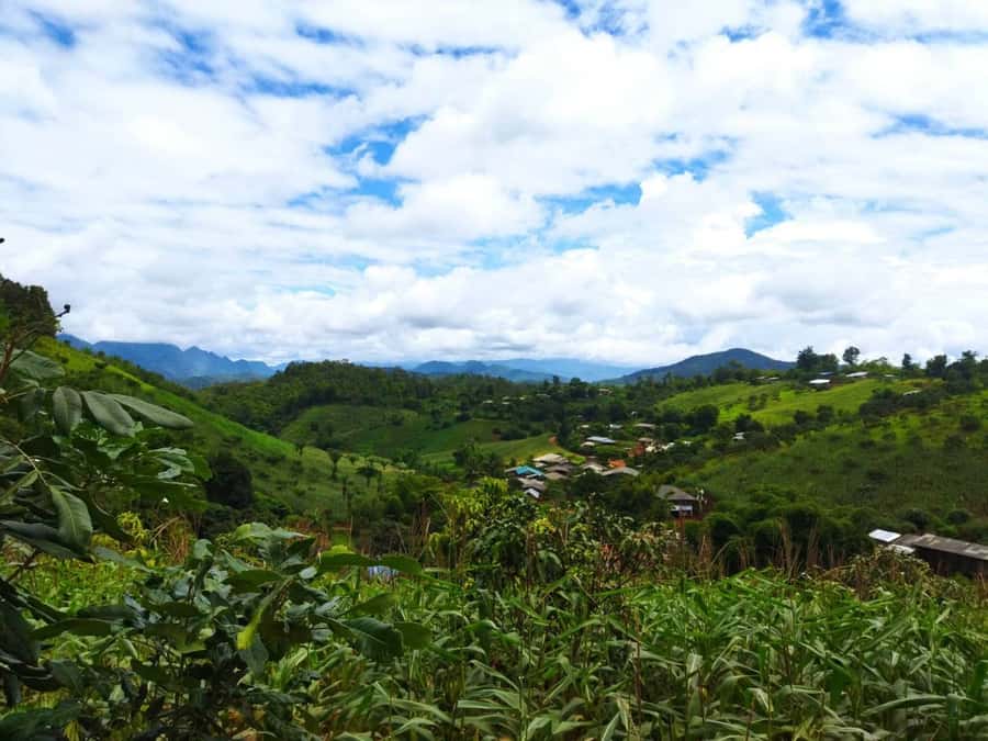 Chiang Mai: Full Day 5 Hill Tribes Tour - A Full-Day Chiang Mai Hill Tribes Tour: What You’re Really Buying