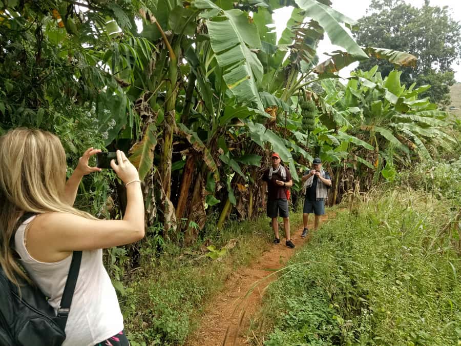 Chiang Mai: Full Day 5 Hill Tribes Tour - Photo Tips and Village Etiquette That Keep the Day Smooth