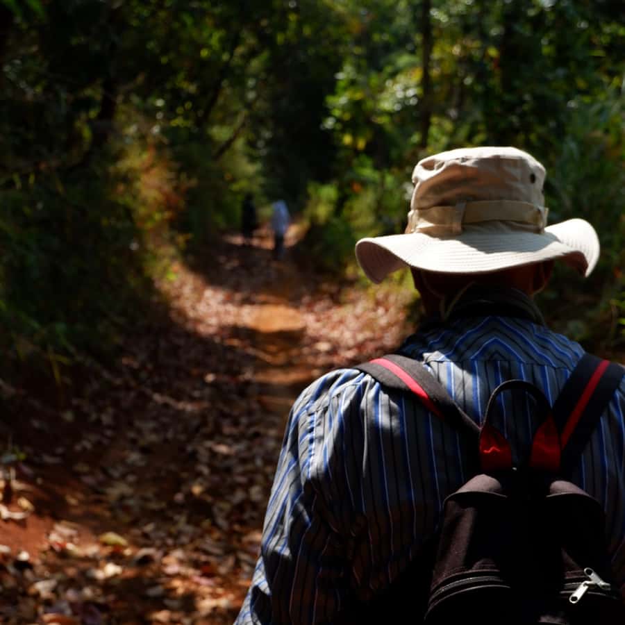 Chiang Mai: Full Day 5 Hill Tribes Tour - Getting Started: Pickup Options and the Mae Malai Market Break
