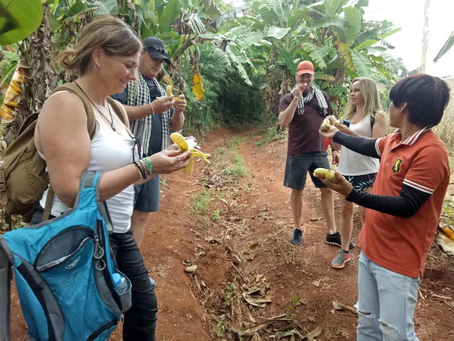 Chiang Mai: Full Day 5 Hill Tribes Tour - Lunch, Water, and What’s Included (So You Don’t Get Nickel-and-Dimed)