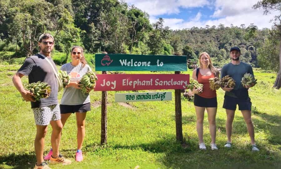 Chiang Mai: Full Day Ethical Elephant Sanctuary & Waterfall - Key things to notice before you go