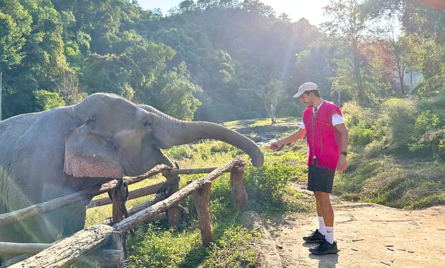 Chiang Mai: Full Day Ethical Elephant Sanctuary & Waterfall - Group pace and timing: what 9 hours means in real life