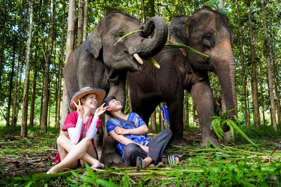Chiang Mai: Full-Day Kerchor Elephant Eco Park Tour & Trek - Bamboo Rafting on the River: Life Jackets, Mud, and No Real Seats