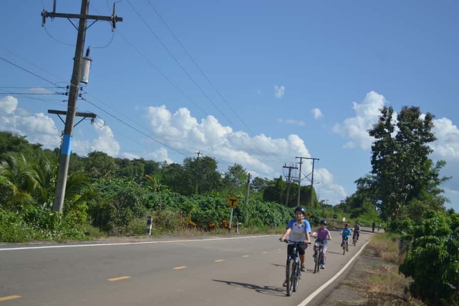 Chiang Mai: Full-Day Nature & Countryside by Bicycle - Cycling 12–15 miles through villages and rice fields