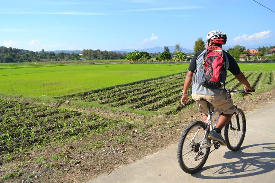 Chiang Mai: Full-Day Nature & Countryside by Bicycle - Lunch in a tropical garden: more than fuel