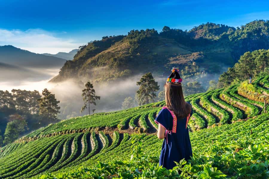 Chiang Mai: Full-Day Private Car Charter to Doi Ang Khang - Key Highlights You’ll Care About