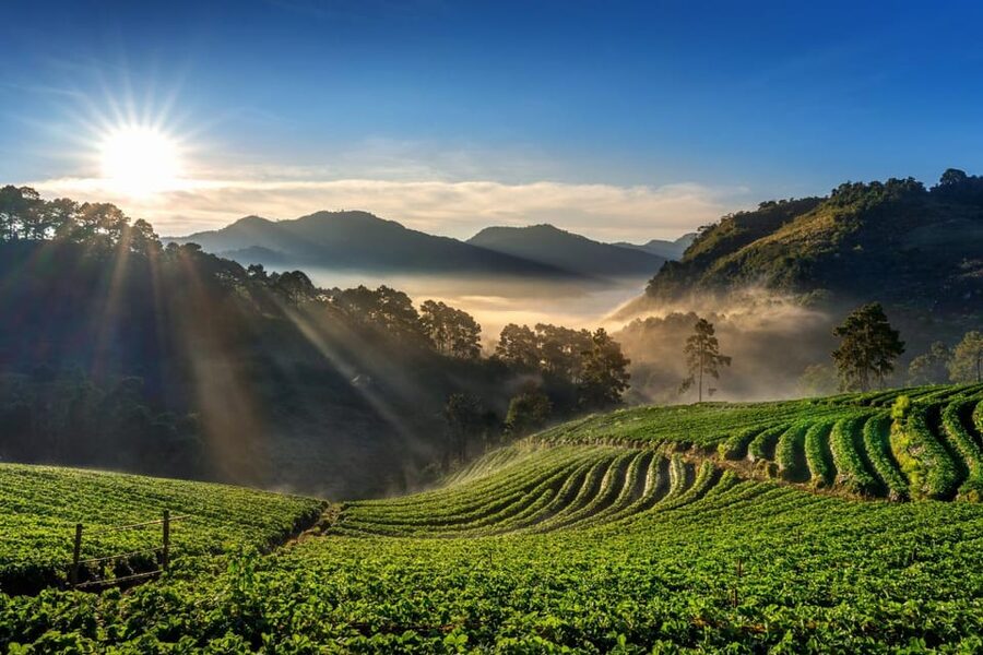 Chiang Mai: Full-Day Private Car Charter to Doi Ang Khang - Who Should Book This Chiang Mai to Doi Ang Khang Charter?