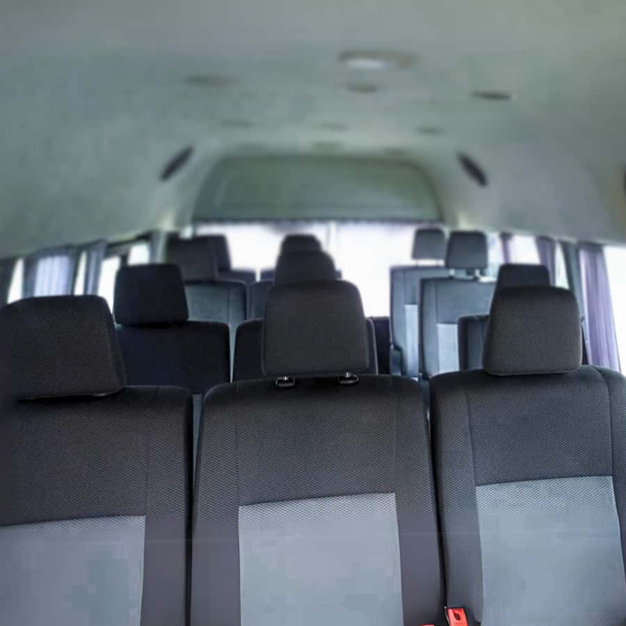 Chiang Mai: Full-Day Private Car Charter to Doi Ang Khang - Tea Plantation, Strawberry Fields, and Chinese Plum Gardens
