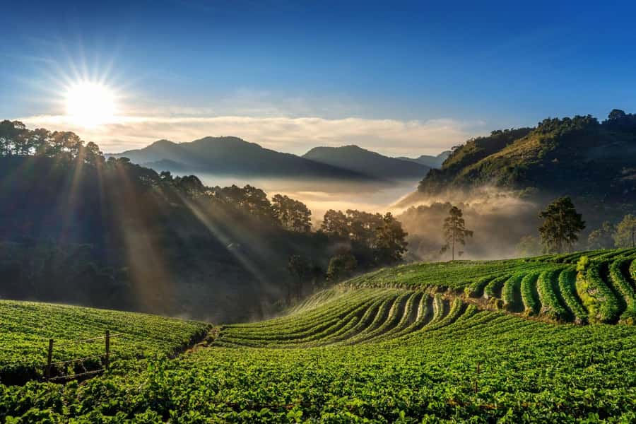 Chiang Mai: Full-Day Private Car Charter to Doi Ang Khang - Comfort, Driver Skills, and the Small-Group Difference