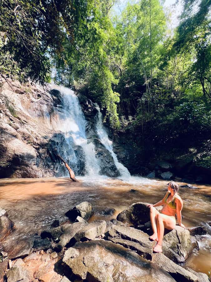 Chiang Mai Full-Day: Trekking, Tubing & Elephant Observation - Who this tour suits best (and who should skip it)