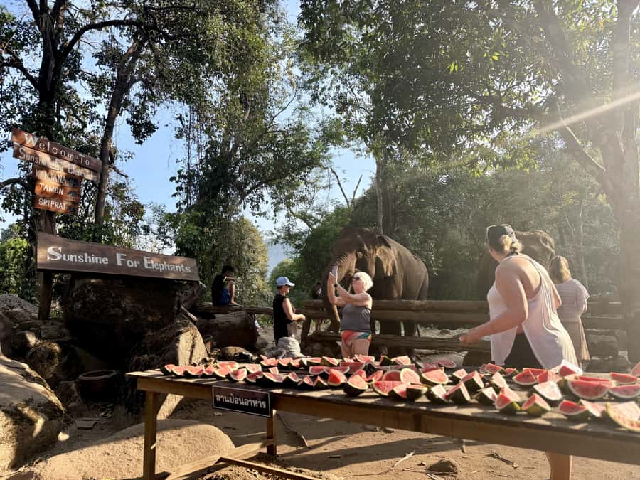 Chiang Mai Full-Day: Trekking, Tubing & Elephant Observation - River tubing on the Mae Taeng: calm float time with real safety control