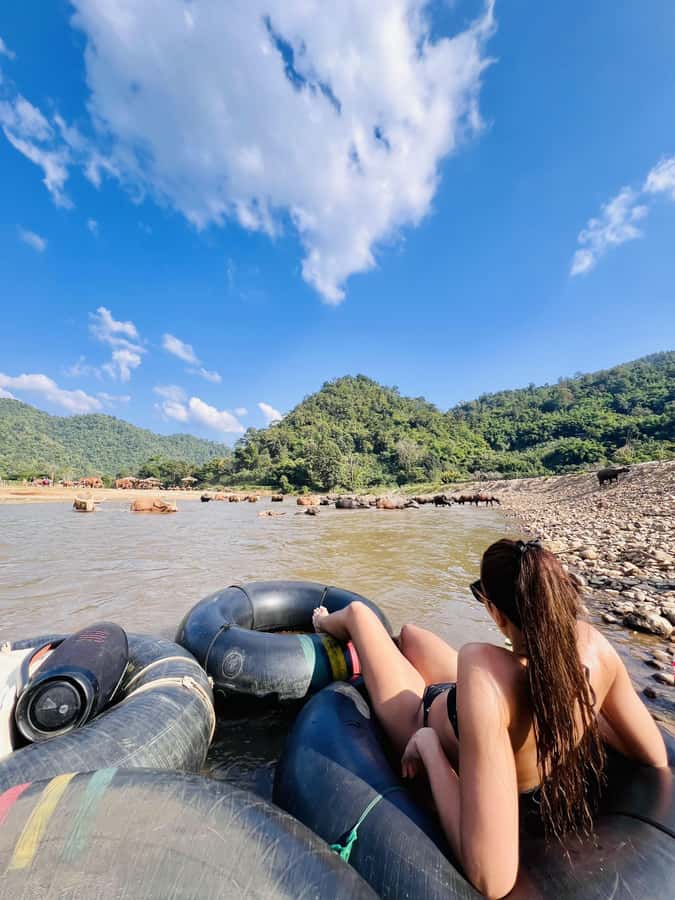 Chiang Mai Full-Day: Trekking, Tubing & Elephant Observation - Morning trek to Tard Mok Waterfall: jungle paths, steady guidance, and picture stops
