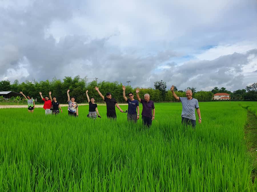 Chiang Mai: Full-Day Yoga & Meditation Experience with Lunch - Key Highlights to Know Before You Go