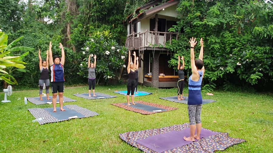 Chiang Mai: Full-Day Yoga & Meditation Experience with Lunch - A Calm Day in Chiang Mai Province: What the Flow Yoga Rhythm Really Is