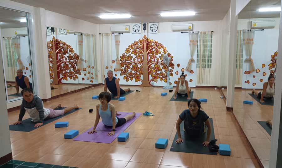 Chiang Mai: Full-Day Yoga & Meditation Experience with Lunch - Who This Experience Fits Best (and Who Might Want a Different Style)