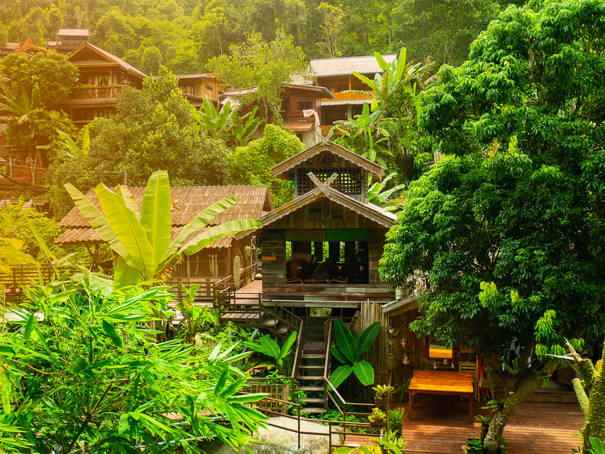 Chiang Mai: Gibbons, Trekking & Mae Kampong Small Group Tour - Price and value: why $77 feels fair for what’s included