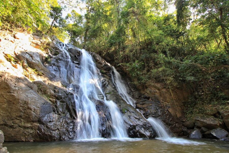 Chiang Mai: Guided Jungle and Waterfall Trek with Transfer - Lunch, snack, and water: don’t underestimate the refuel block