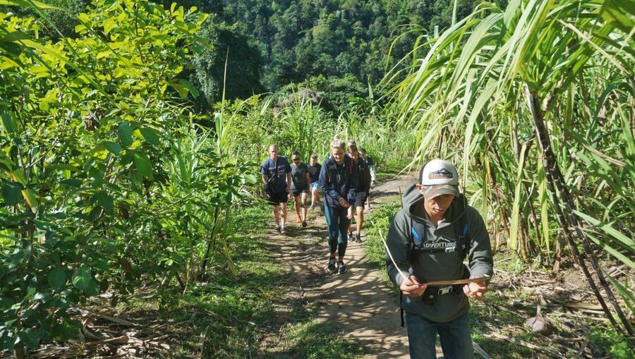 Chiang Mai: Guided Jungle and Waterfall Trek with Transfer - Price and value: is $64 a fair deal for 6 hours?
