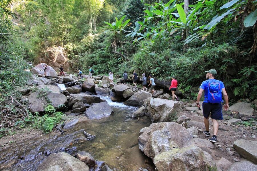 Chiang Mai: Guided Jungle and Waterfall Trek with Transfer - What to bring so the jungle part doesn’t annoy you