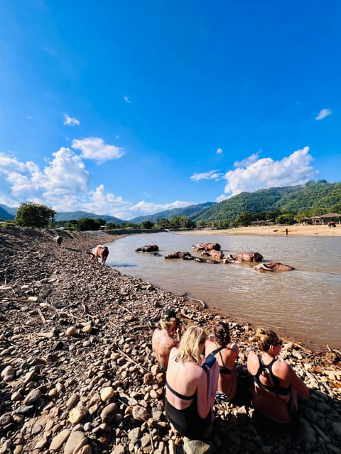 Chiang Mai Half-Day Adventure: Tubing & Elephant Feeding - Should you book Chiang Mai tubing and ethical elephant feeding?