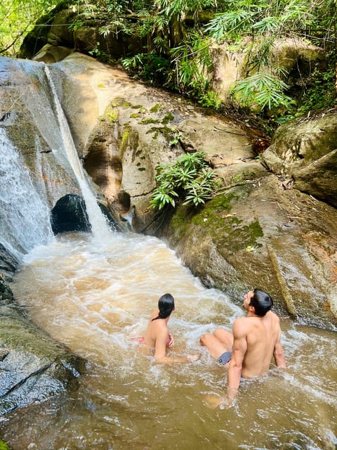 Chiang Mai Half-Day Adventure: Tubing & Elephant Feeding - The ethical elephant angle: why “no riding” matters on a tour like this