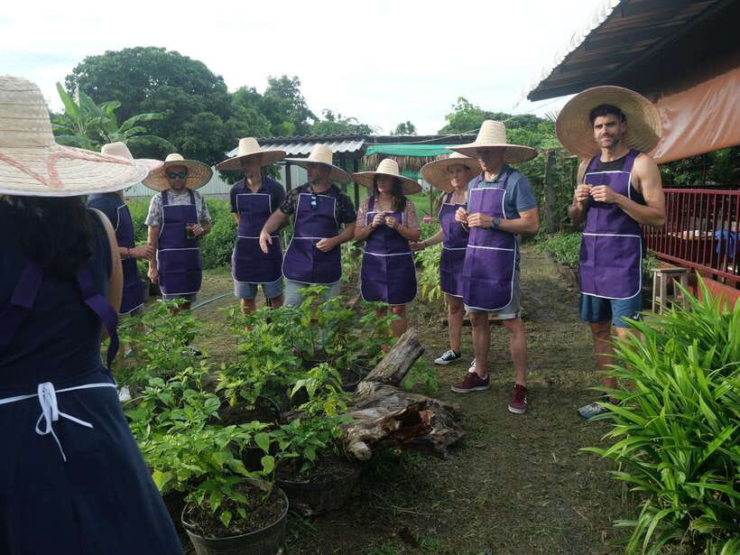 Chiang Mai: Half Day Cooking Class at Organic Farm - Market visit, then real Thai cooking on your own station