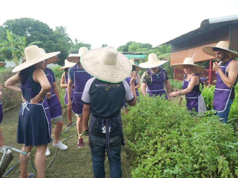 Chiang Mai: Half Day Cooking Class at Organic Farm - Price and value: what $31 buys you in Chiang Mai