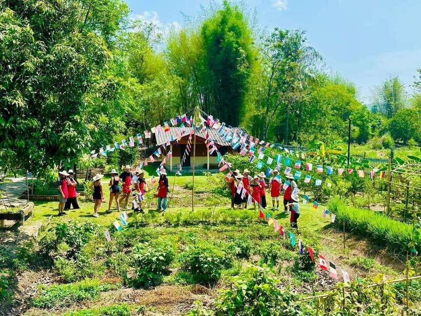 Chiang Mai: Half Day Cooking Class at Organic Farm - Choosing the right garden option: city organic vs yard vs farm outside town