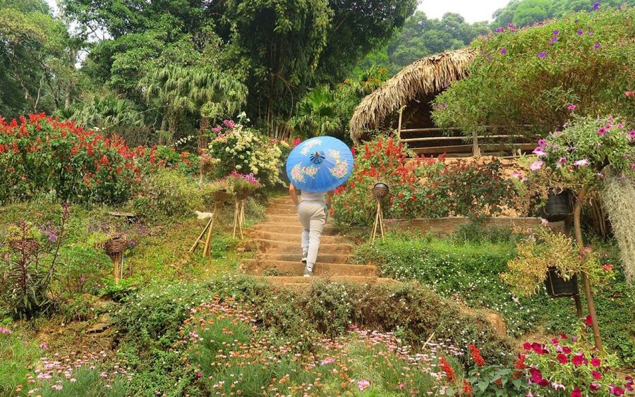 Chiang Mai: Half day Doi Suthep and Meo Village - Morning logistics: pickup timing and what 5 hours really feels like