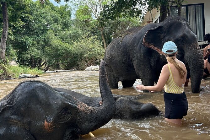Chiang Mai Half Day Elephant Sanctuary Observation and Waterfall - Waterfall stop: cool down, swim if you want