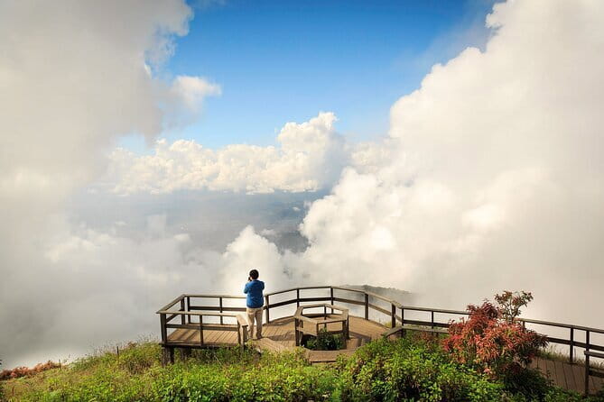 Chiang Mai Half Day Tour: Doi Inthanon Elephant Sanctuary - Lunch Included: Plan Your Half Day Around the Food Stop