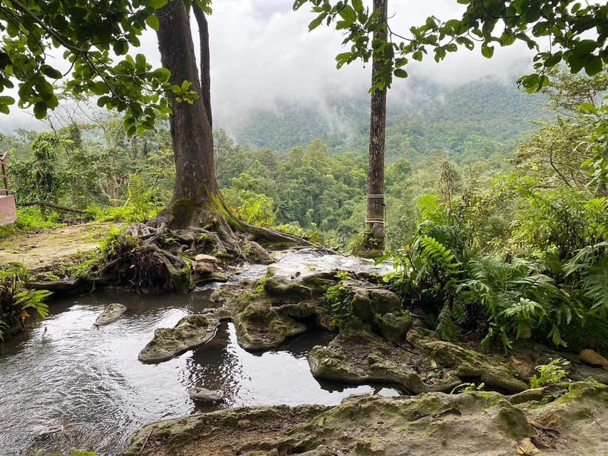 Chiang Mai Half Day Tour: Sticky Waterfall & Hotel Transfer - Meeting Point and Pick-Up Rules That Matter