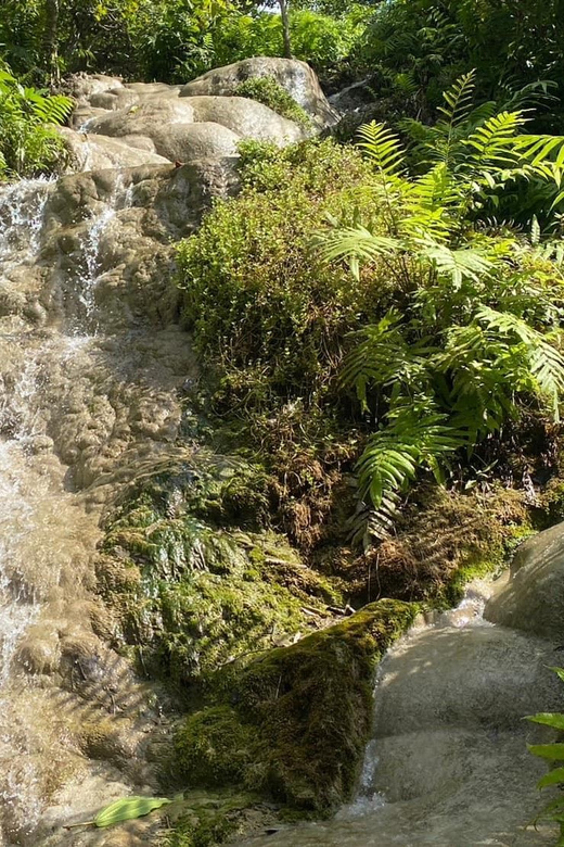 Chiang Mai Half Day Tour: Sticky Waterfall & Hotel Transfer - On the Rocks: How Sticky Climbing Works in Practice