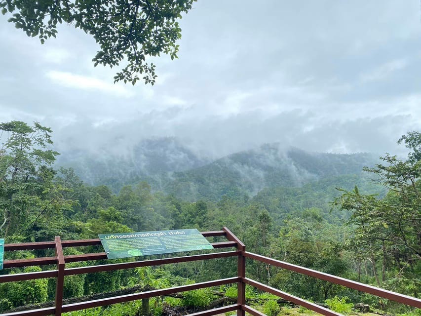Chiang Mai Half Day Tour: Sticky Waterfall & Hotel Transfer - Value for $21: Why This Transfer-Style Tour Is a Smart Deal