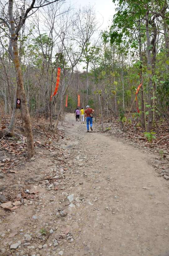 Chiang Mai: Hike on Monk’s Trail and Doi Suthep Private Tour - Should you book? My quick decision guide
