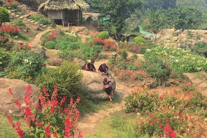 Chiang Mai Iconic Temples and City Tour - Wat Phra That Doi Suthep: The Mountain-Top Temple Stop That Sets the Tone