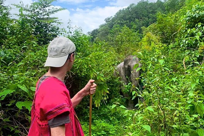 Chiang Mai: Inthanon, Elephant Sanctuary Observation & Waterfall - A long day that feels planned, not rushed