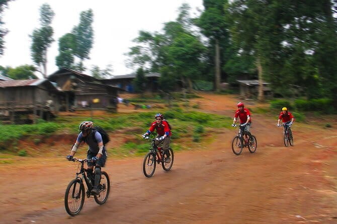 Chiang Mai: Inthanon, Elephant Sanctuary Observation & Waterfall - Group size and comfort: what it means for your day