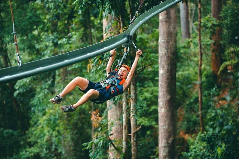 Chiang Mai: Jungle Flight Zip Line Roller Coaster - The zip-line circuit: short runs that build into the 800-meter hit