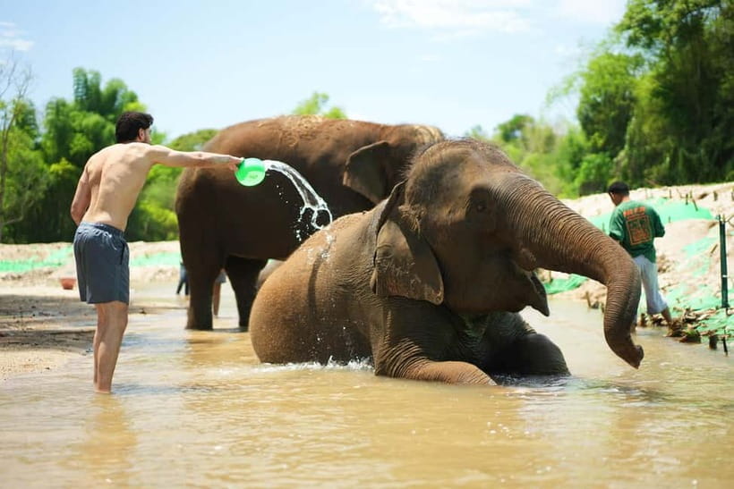 Chiang Mai: Jungle Jumbo Elephant Sanctuary with Waterfall - Jungle Jumbo Elephants and Waterfall: The Real Hook