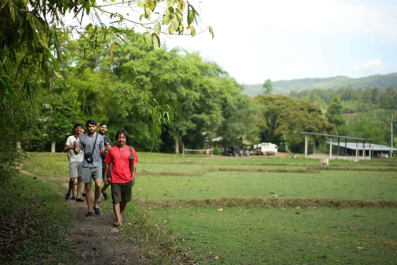 Chiang Mai: Jungle Jumbo Elephant Sanctuary with Waterfall - Who Should Book This Tour (And Who Might Not)