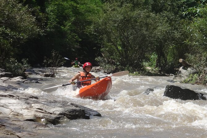 Chiang Mai: Jungle Kayak Adventure with Rapids & Elephants - Choosing the right boat: sit-on-top vs white-water kayak