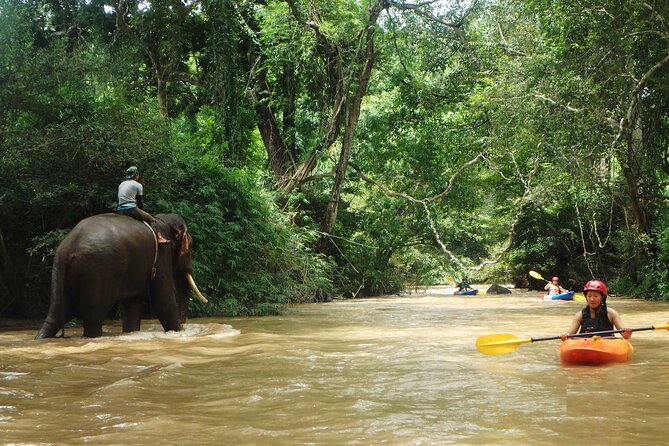 Chiang Mai: Jungle Kayak Adventure with Rapids & Elephants - Elephant camp sightings without turning it into a zoo visit