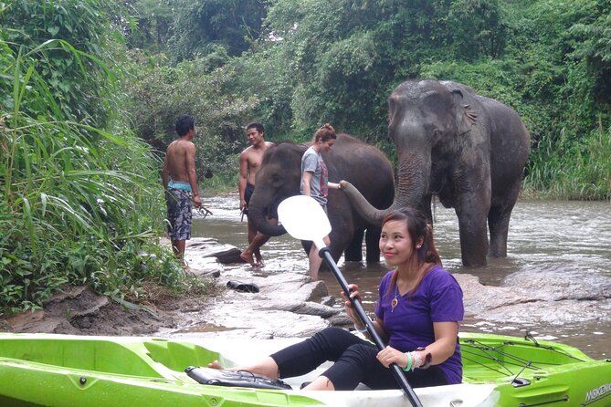 Chiang Mai: Jungle Kayak Adventure with Rapids & Elephants - The river rhythm: easy water, then rapids by class