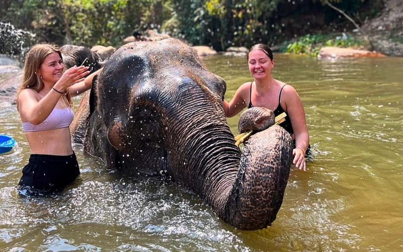 Chiang Mai: Jungle Trek, Elephants care & Bamboo Rafting - How the Day Starts: Pickup, Mountain Drive, and a Market Stop