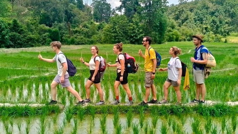 Chiang Mai: Jungle Trek, Elephants care & Bamboo Rafting - Karen Hill Tribe Village: Traditions, Rice Farming, and Guided Context