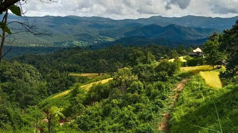 Chiang Mai: Jungle Trek, Elephants care & Bamboo Rafting - Who This Tour Fits Best (and Who Should Skip It)